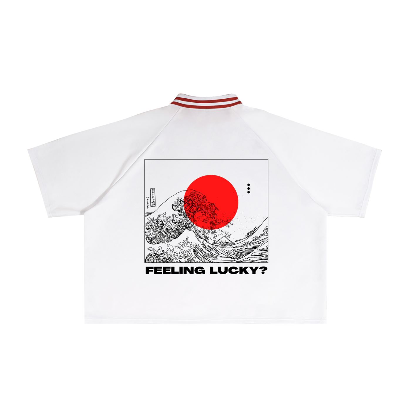 Contrast Lapel Collar Boxy T-Shirt